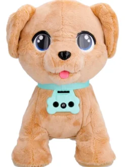 Clearance Club Petz Milo