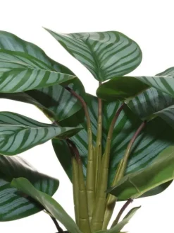 4Living silkkimaija muoviruukussa Clearance